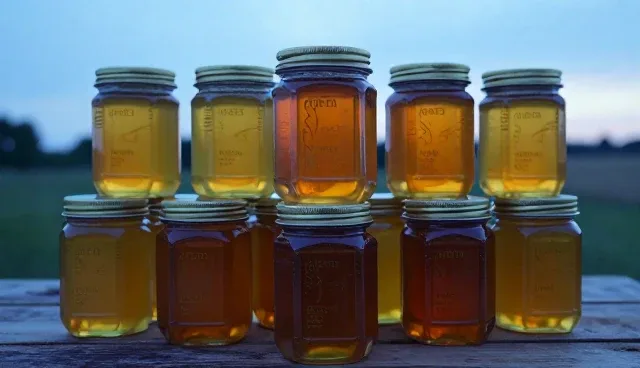 蜂群健康状态对蜂蜜产量的影响原因分析