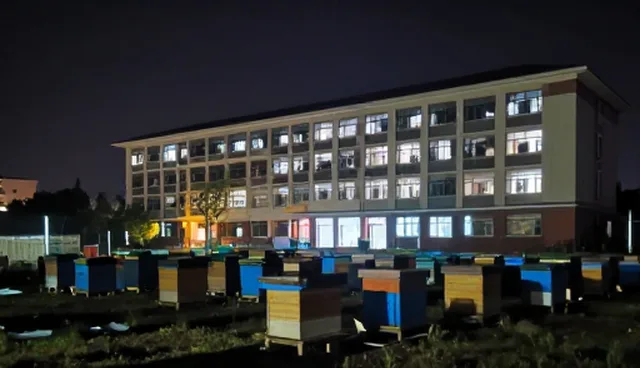 农产品市场推广中基地合作的适用情况与限制